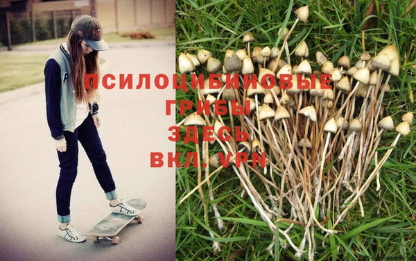 a pvp Алексеевка