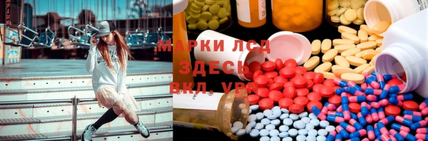 сатива Заводоуковск