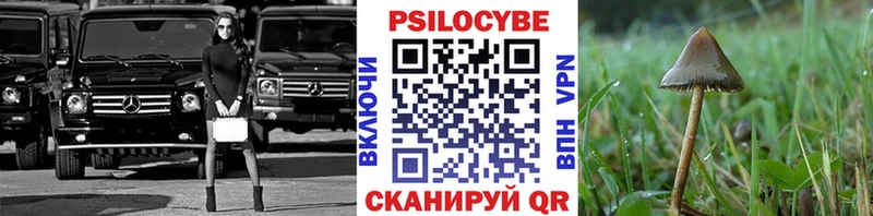 Псилоцибиновые грибы Psilocybine cubensis  Бежецк 
